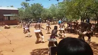 Xigubu xa Chajara
