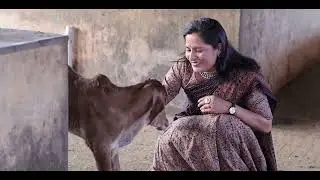 Vrindavan mero Vrindavan