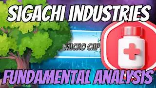 🌴 Microcap Multibagger? Fundamental Analysis - Sigachi Industries