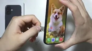 iPhone 17: How to Insert SIM Card?