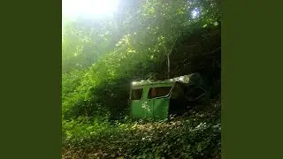 alone
