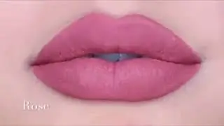 12PCs Waterproof Matte Lip Liner Pencil Set