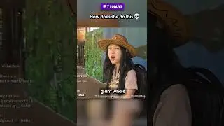 How Steve Irwin Gave Me This Talent