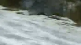 MOV03906