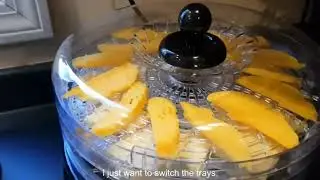 #Fruit dryer, #dehydrator, #dog food, #dog food making,  #madeinchina #cheesegrater #chinese factory