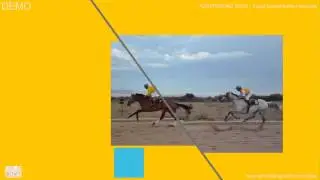 Video customization - Animoto ABC