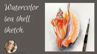 Watercolor nautical sketch. Etsy.com/shop/BalanceUA #seashell #watercolor #painting #stepbystep
