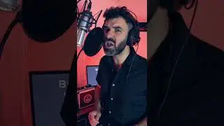🎶 