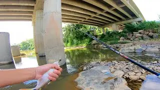 Pesca de Saicanga isca Mini cranck sensacional, diver&ccedil;ao garantida as saicangas ficam doidas.