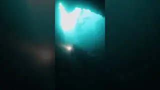 Diving in Sail Rock, Thailand