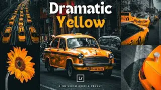 Dramatic Yellow Lightroom Preset | Free Preset Lightroom Mobile | Dramatic Preset | Cinematic Preset
