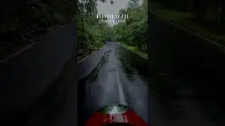 Into each life some rain must fall. #youtubeshorts #rain #peaceful #monsoonrain