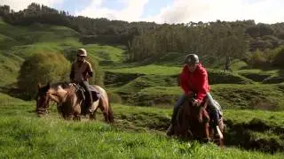 Paradise Valley Ventures Horse Riding 