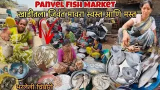 स्वस्त ,ताजा ,आणि जिवंत मावरा | Panvel Naka Fish Market |
