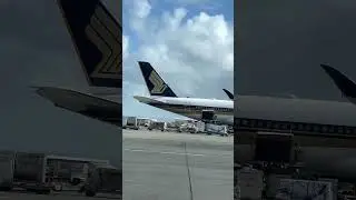 350 sitting at gate 15, awaiting departure from a stunning aircraft. #video #viral #trending #fly