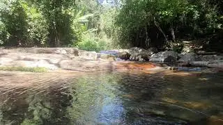 River Stock Footage Free