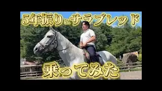 【必見】【再】義英真、久しぶりに馬に乗る!