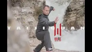 WUDE Test Taijiqaun niveau 1  : quelques applications martiales
