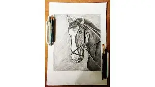 Horse Sketch || Limitless Art