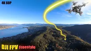 Freestyle and Cinematic DJI FPV in Forest, 4K60P