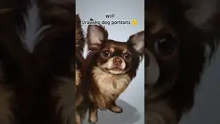 Don't you just love some hand-drawn, realistic chibi dog portraits✍️  #digitalart #petportrait #noai
