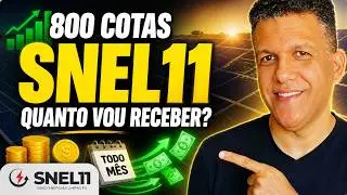 SNEL11: CHEGUEI a 800 COTAS QUANTO vou RECEBER de DIVIDENDOS todo M&Ecirc;S?