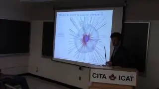 CITA 651: On the diversity of star-planet magnetic interactions
