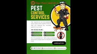 🪳 Cockroach Control Service Narayangonj |বাসা ও অফিসের তেলাপোকা দূরীকরণ | 01725-286527 |Pest Control