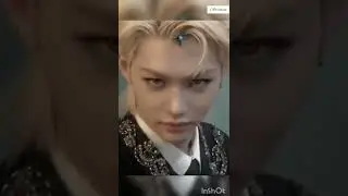 my dog stepped on a bee #felix #kpop #tiktok _ace lalisa_
