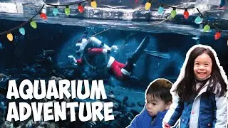 Our AMAZING Christmas Aquarium Adventure | Vancouver Aquarium 2022