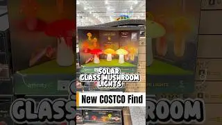 Magical Glass Mushroom Solar Lights at Costco!#costcofinds #solarlight