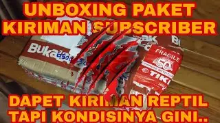 LIVE UNBOXING REPTILE !! METABOLIC BONE DISEASE PADA BEARDED DRAGON, APA PENYEBABNYA ? BISA SEMBUH ?