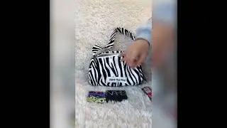 Zebra Stripe Shoulder Bag
