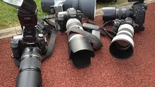 Sony Alpha 7 II Erfahrungsbericht