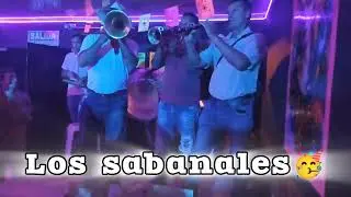 Banda papayera🥳🎺🎶El sanjuanero,???,Caminito a la fiesta,remix los sabanales , sanJuanero, el barcino