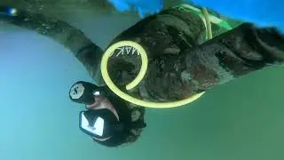 Hull cleaning #asmr ￼#diving #water #scraping