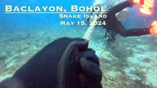Diving into Snake Island