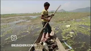 #wular lake🩷