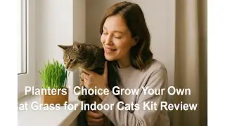 🌱 Planters' Choice Grow Your Own Cat Grass for Indoor Cats Kit Review 🐱