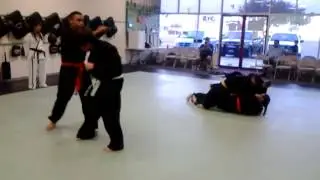 America's Best Tae Kwon Do-Karate & Mixed Martial Arts MMA Class Pharr TX Basic Submissions