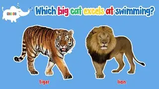 Animal Quiz: How Well Do You Know Your Animals?