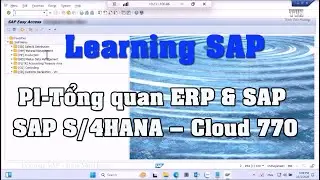Tổng quan ERP v&agrave; SAP (SAP S/4HANA on Cloud 770) - Phần 1 | Learing SAP #sap #erp #software #trend