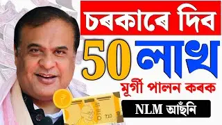 চৰকাৰে দিব 50 লাখ টকা || POULTRY FARM LOAN || POULTRY FARM LOAN SCHEME 2024 || NLM Scheme