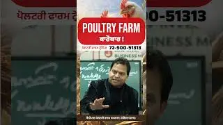 Poultry Farm ਦਾ ਕਾਰੋਬਾਰ #poultryfarm #punjabpoultryfarm #farming #punjab #shorts