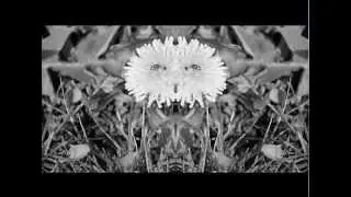 Move Edit