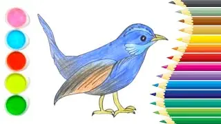 Sketch Of Wren Bird | Step By Step | Easy Drawing For Kids