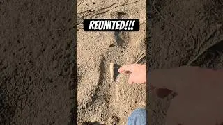 OLE&rsquo; RELIABLE RETURNS! 🥲 #topwater #fishing #fishinglife #fishinglures #fishingvideo #popper #fish