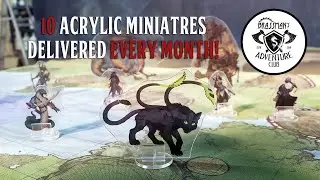 D&D Subscription Box Miniatures