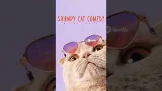 Grumpy Cat Comedy - ready to be used in your short, reel and video project! #backgroundmusic #coemdy