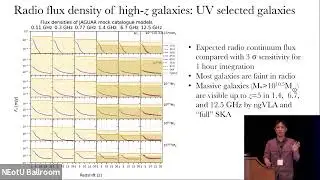 Ilsang Yoon - Prospects for Far-IR and Radio Observation of High-Redshift Galaxies in SKA-ngVLA era